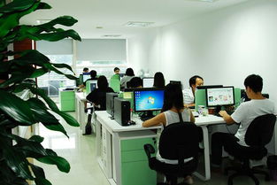 金網(wǎng)助力合肥企業(yè)網(wǎng)站建設 數(shù)字化時代的企業(yè)新名片